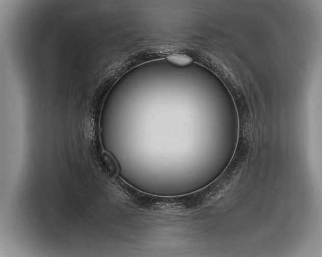 X0000116880689200912221426