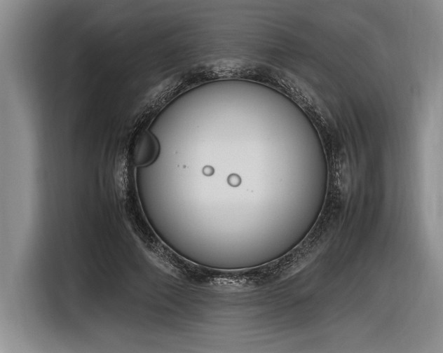 X0000116880690200912221426