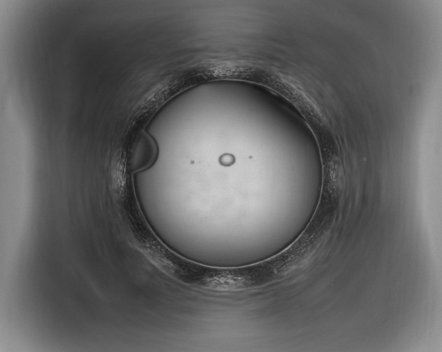 X0000116880691200912221426