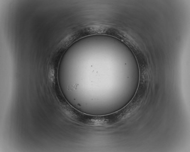X0000116880693200912221426