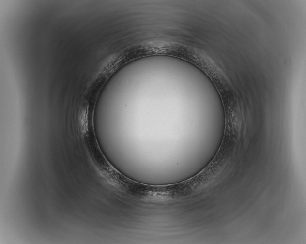 X0000116880694200912221426