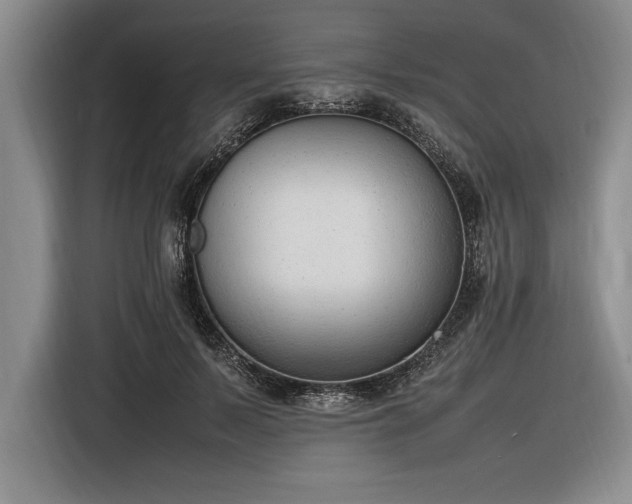 X0000116880695200912221426
