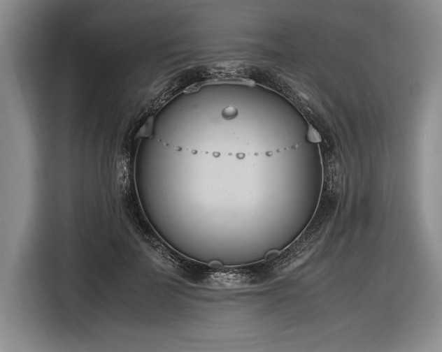 X0000116880699200912221426