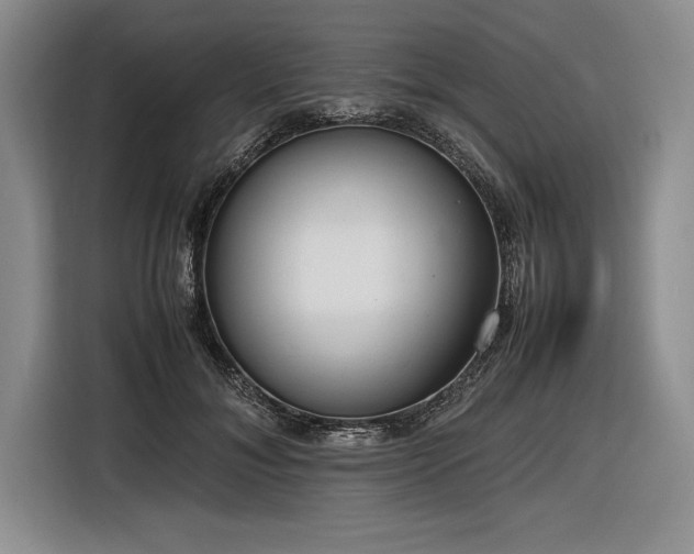 X0000116880700200912221426