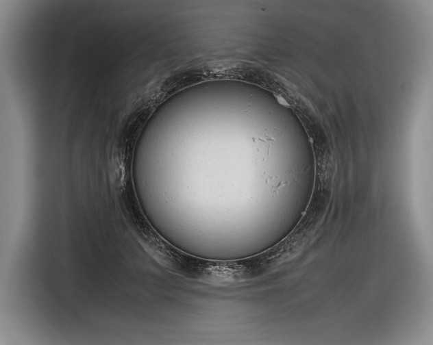 X0000116880703200912221426