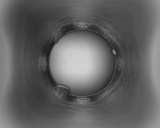 X0000116880707200912221425