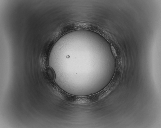X0000116880708200912221425