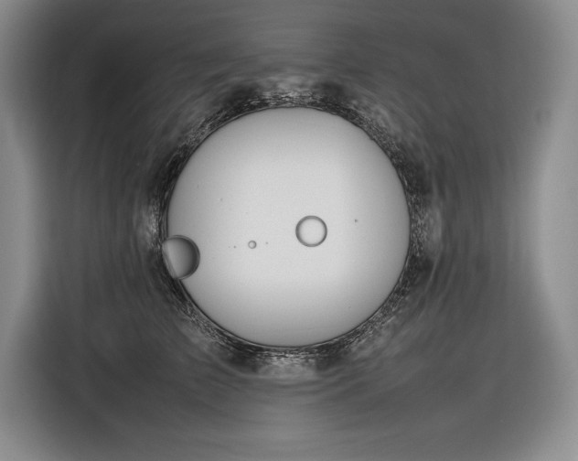 X0000116880709200912221425