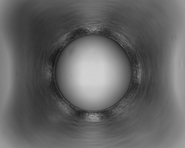 X0000116880710200912221425