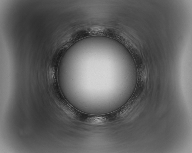 X0000116880711200912221425