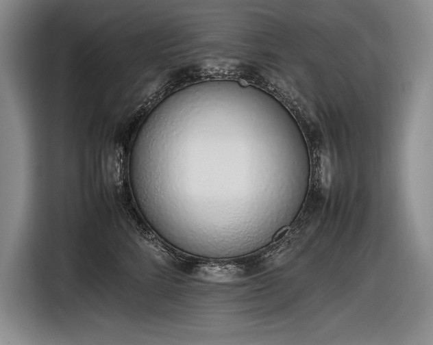 X0000116880712200912221425