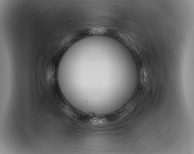 X0000116880714200912221425