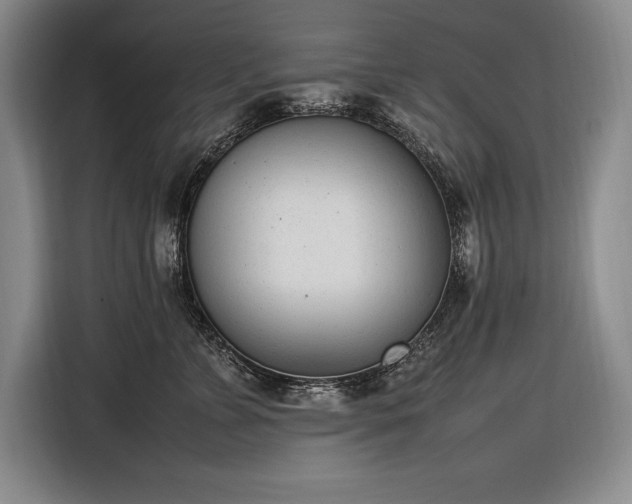 X0000116880715200912221425