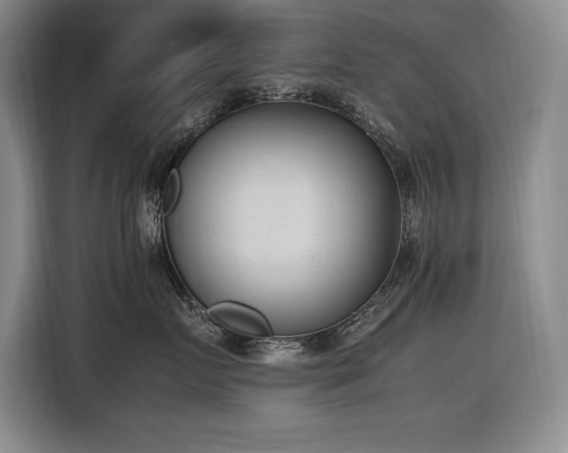 X0000116880719200912221425