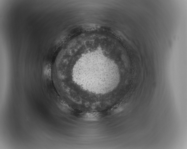 X0000116880720200912221425