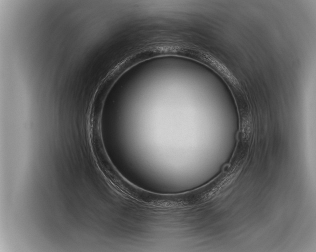 X0000116880722200912221425