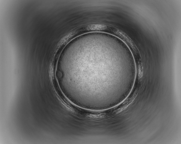 X0000116880725200912221425