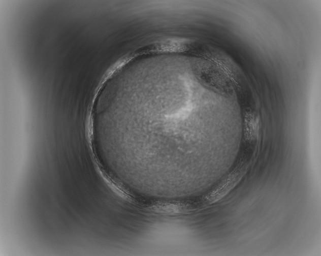 X0000116880726200912221425