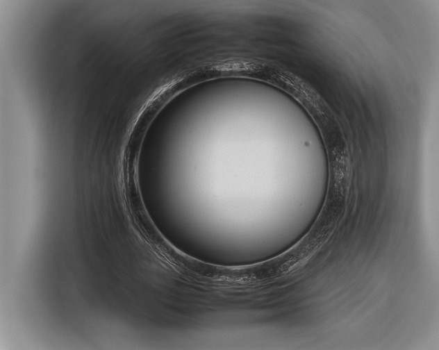 X0000116880727200912221425