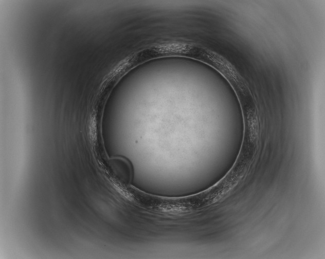 X0000116880729200912221425