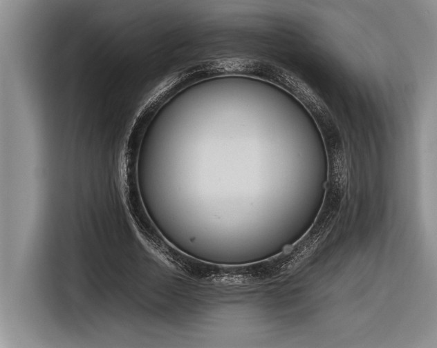 X0000116880730200912221425