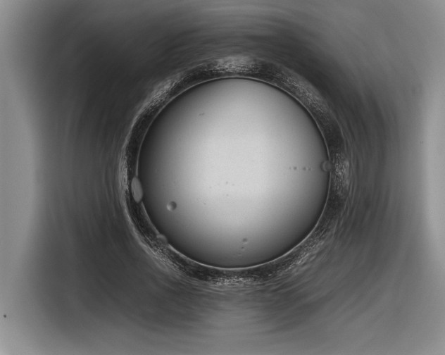 X0000116880734200912221425