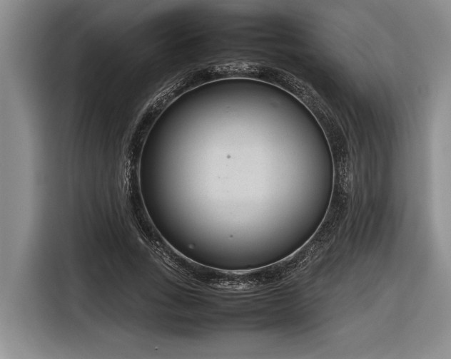 X0000116880735200912221425