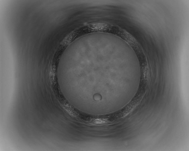 X0000116880737200912221425