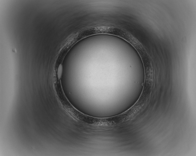 X0000116880738200912221425