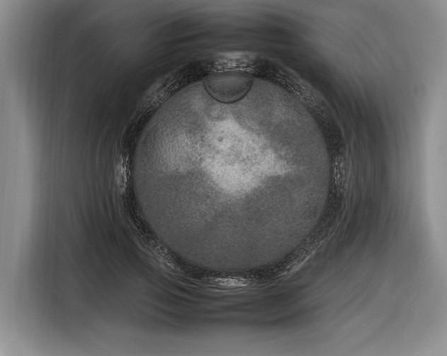 X0000116880741200912221425