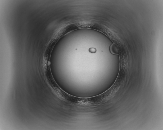 X0000116880742200912221425