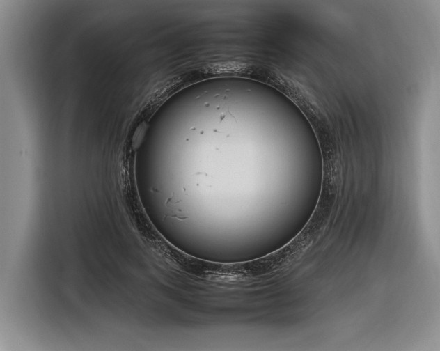 X0000116880743200912221425