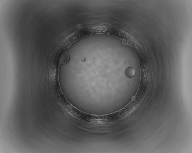 X0000116880745200912221425