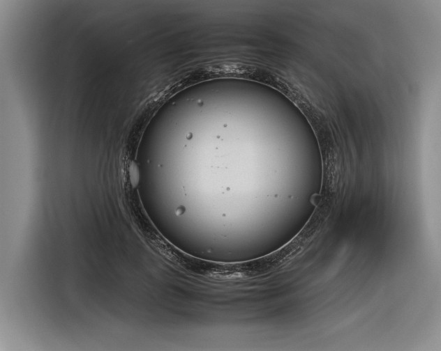 X0000116880747200912221425