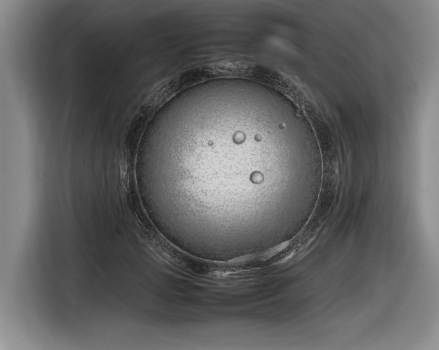 X0000116880749200912221425