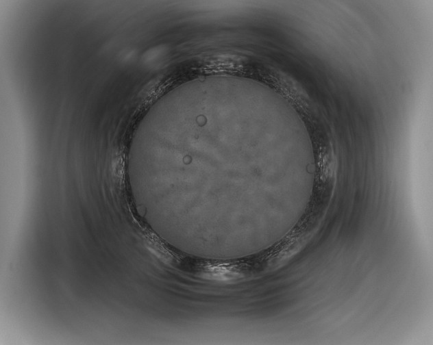 X0000116880753200912221425