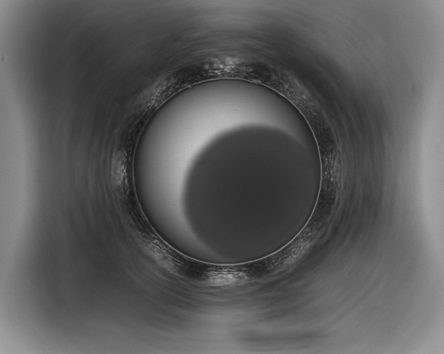 X0000116880754200912221425