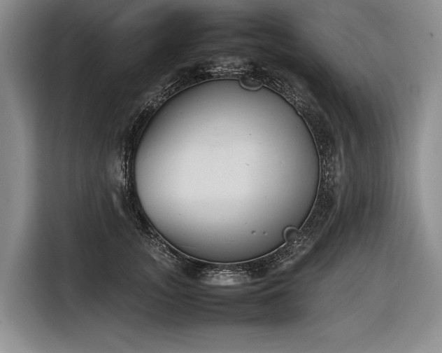X0000116880755200912221425
