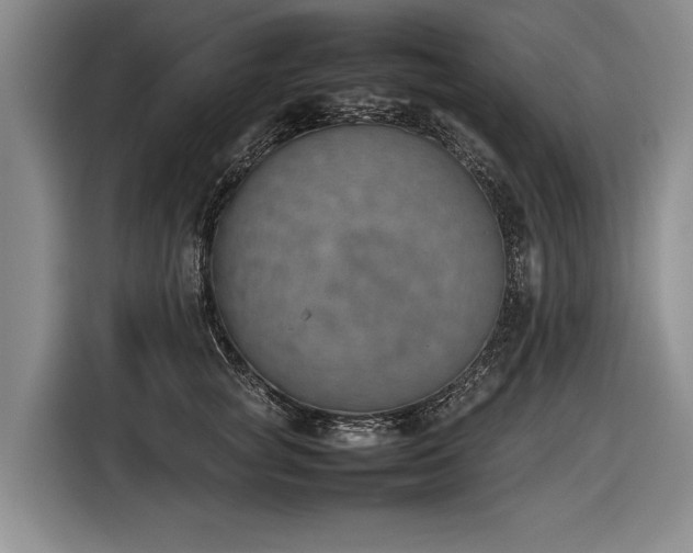 X0000116880757200912221425