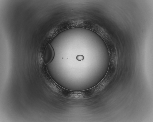 X0000116880758200912221425
