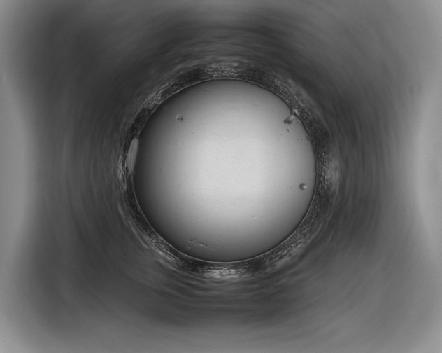 X0000116880759200912221425