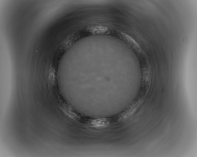 X0000116880761200912221425