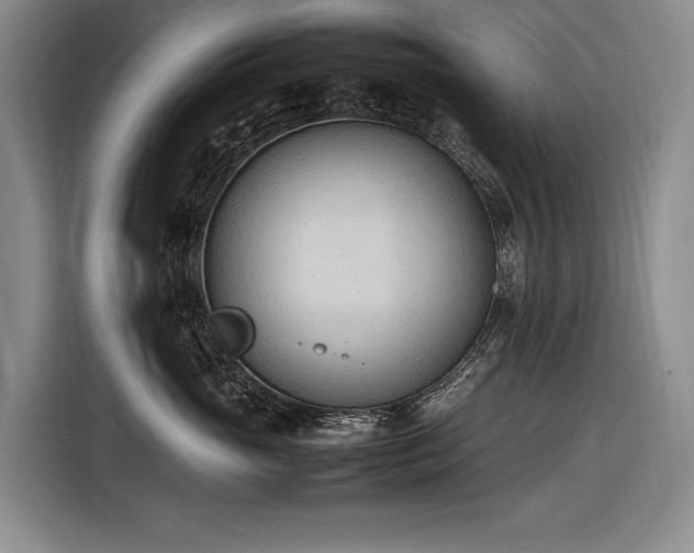 X0000116880765200912221425