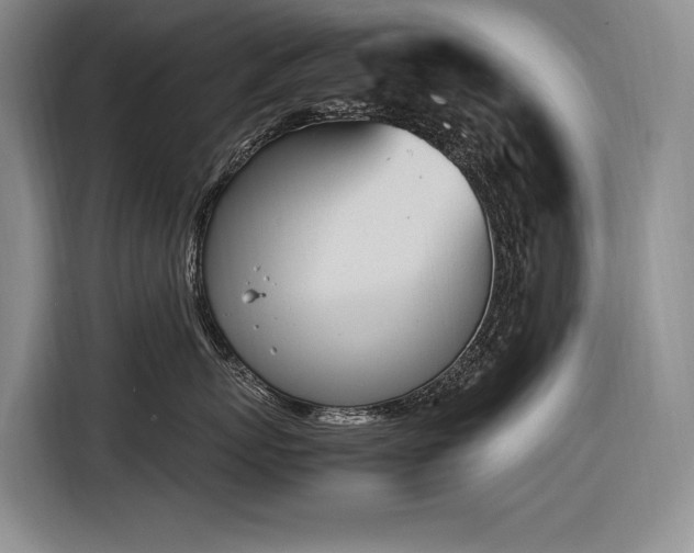 X0000116880767200912221425