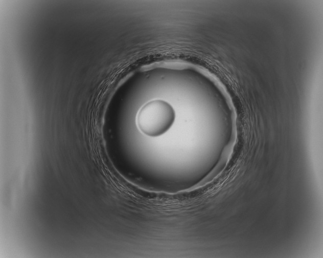 X0000116880769200912221425