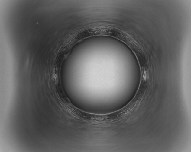 X0000116880771200912221425