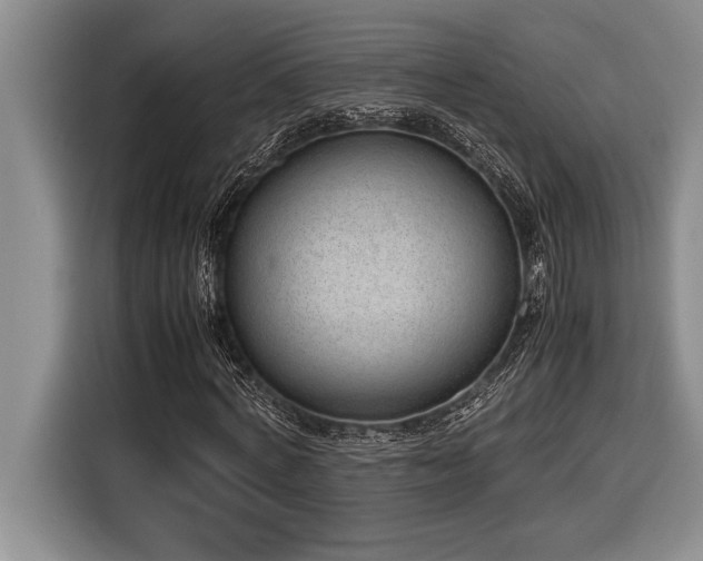 X0000116880772200912221425