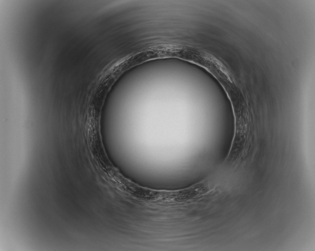 X0000116880773200912221425