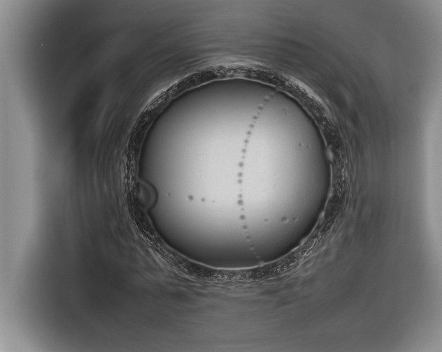 X0000116880775200912221425