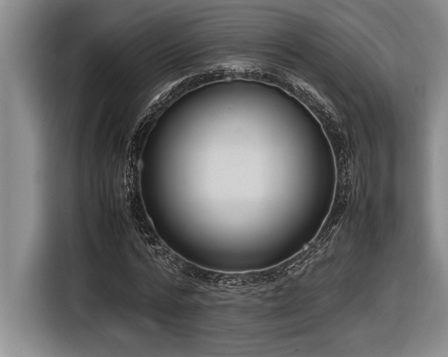 X0000116880776200912221425